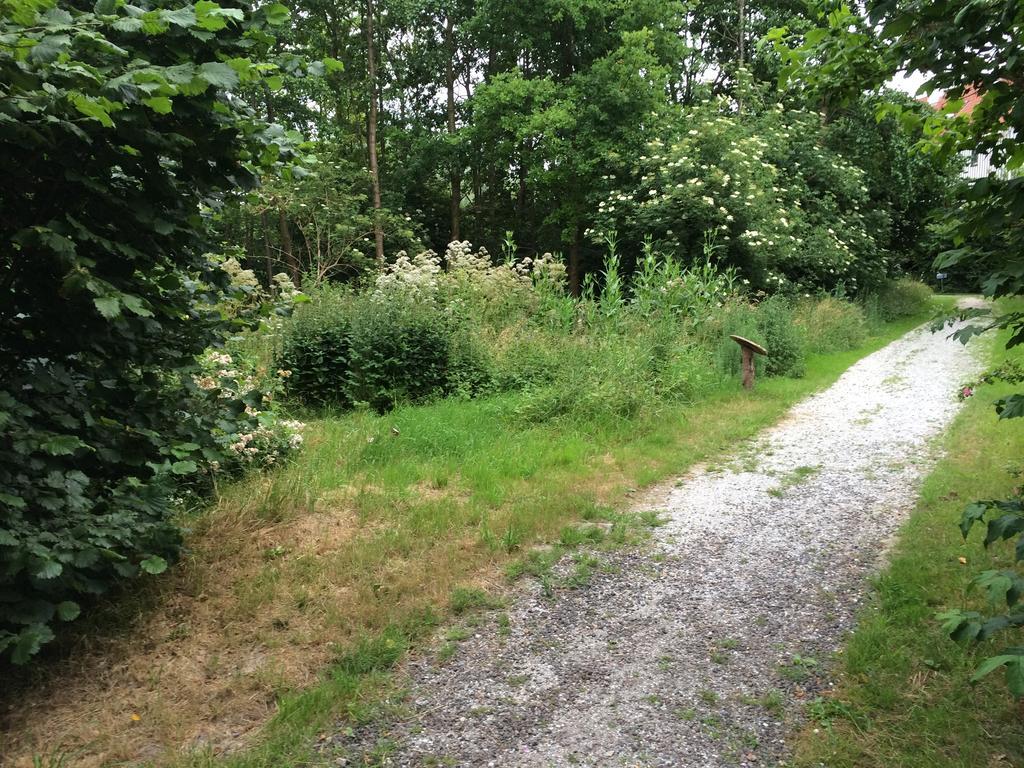 B&B 'T Buitenkansje Almere Dış mekan fotoğraf